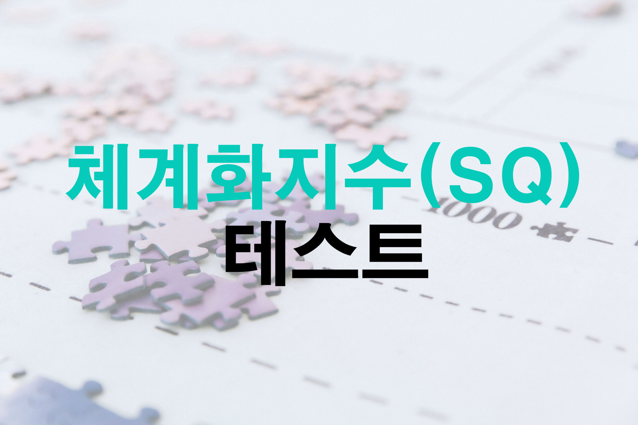체계화지수(sq) 테스트