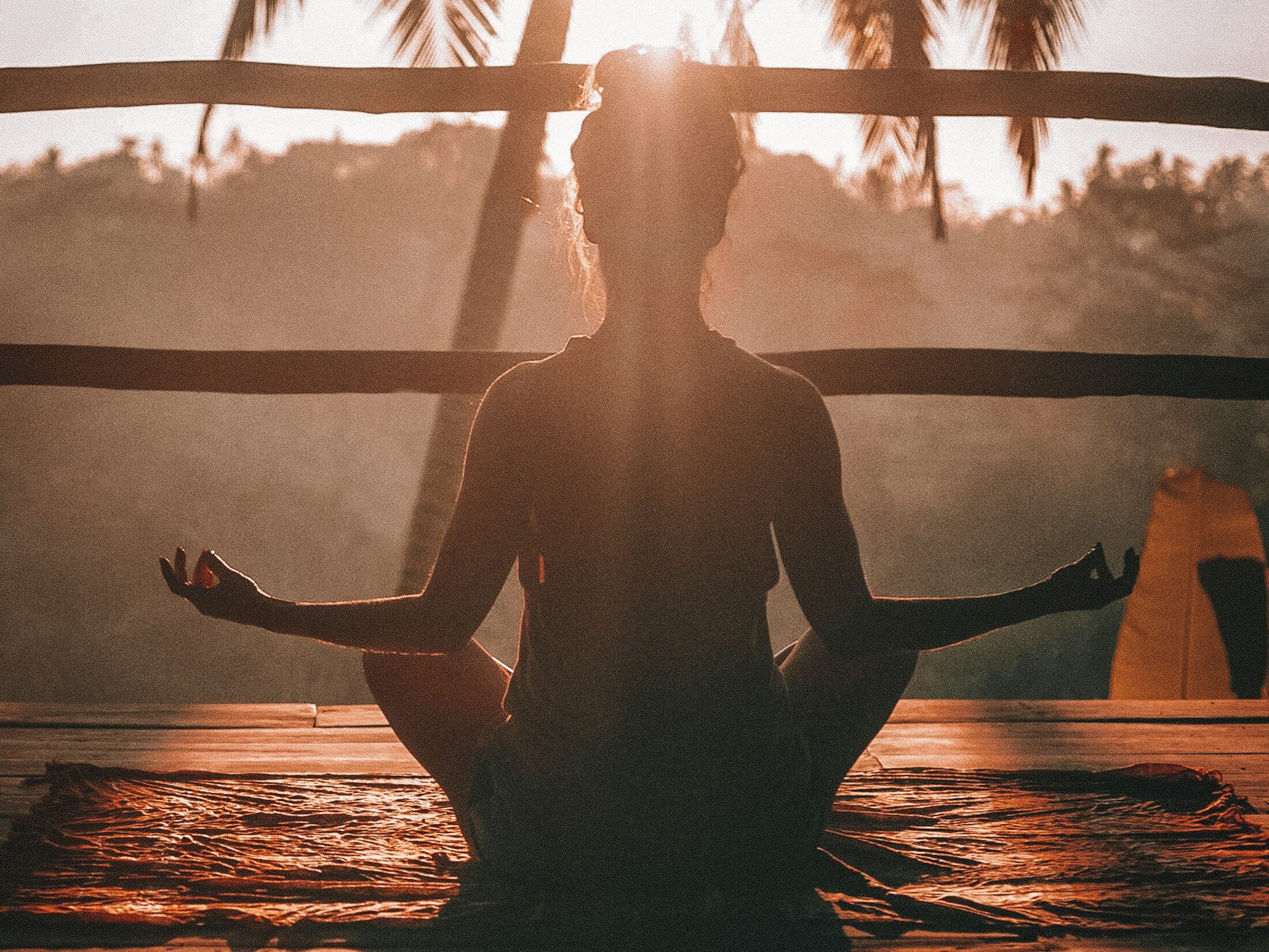 jared rice ntybbu66 si unsplash